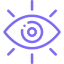 icon eye